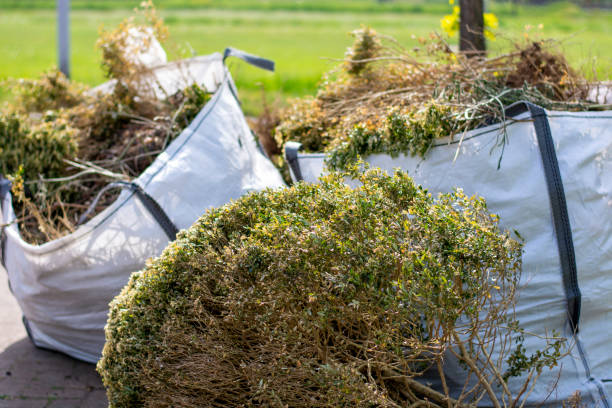 Best Office Junk Removal  in Frisco, TX