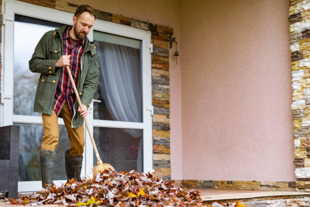 Professional Junk Removal in Frisco, TX